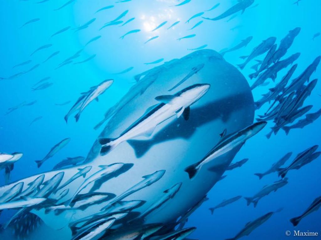 9131fd3a-a760-4fb2-b634-fddb07bd7b5a