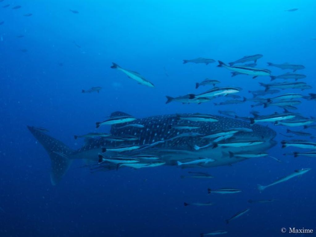 9131fd3a-a760-4fb2-b634-fddb07bd7b5a