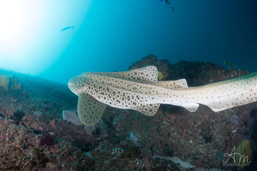 6e9400aa-2cc6-4d17-bf06-813aebbc187b