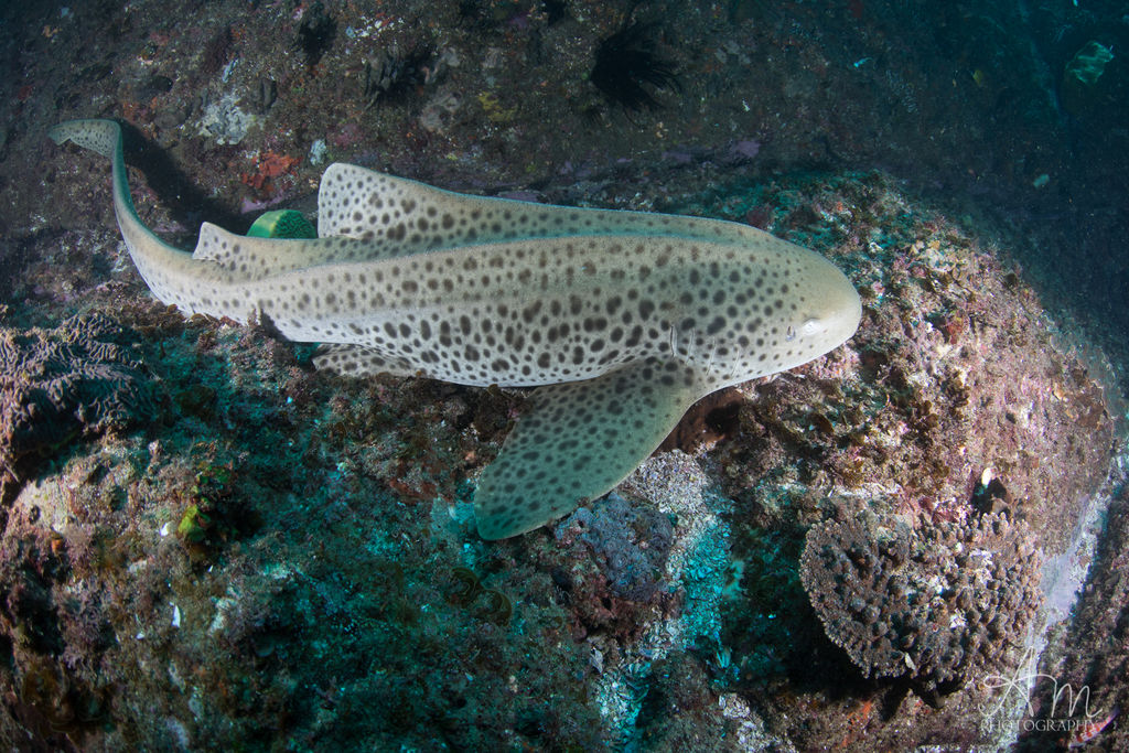 6e9400aa-2cc6-4d17-bf06-813aebbc187b