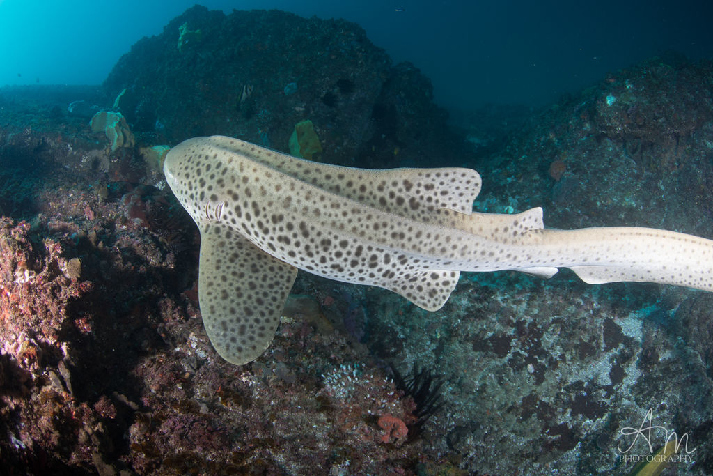 6e9400aa-2cc6-4d17-bf06-813aebbc187b