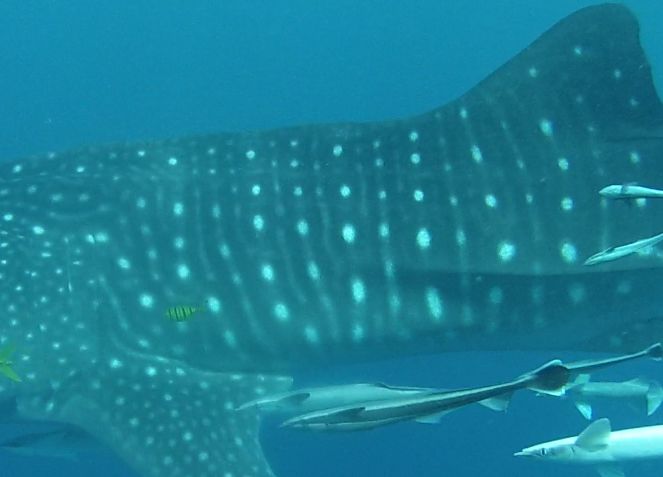 d3c8fcaf-9f49-40d8-87cc-d89b5ece73a6