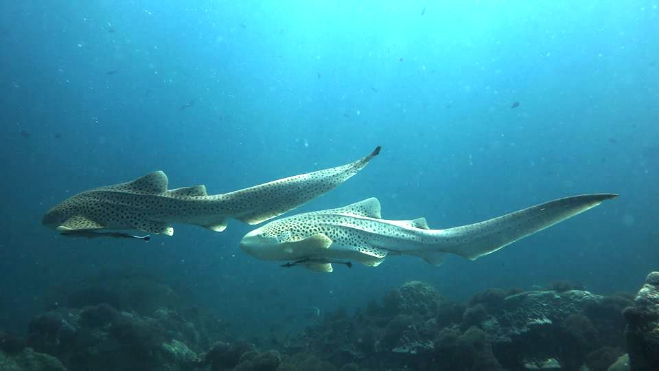 790b3f13-2f99-4644-9f22-0dd718bd5fde