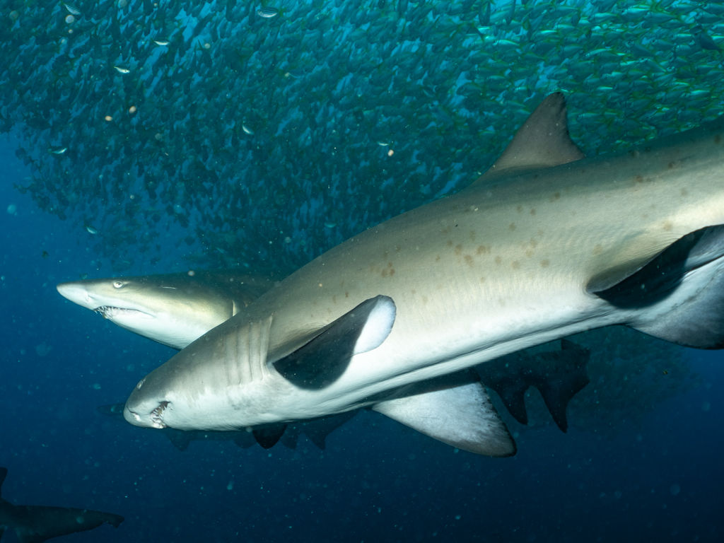 0d79645f-99e1-4f6b-a9d2-9eaf4800c732