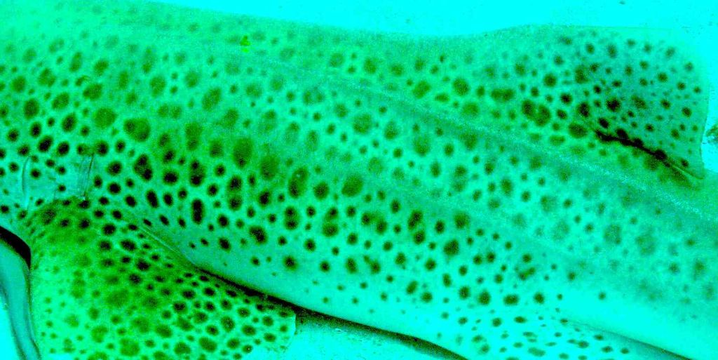 76ca035d-e646-4e52-af47-d3b875c4fc87