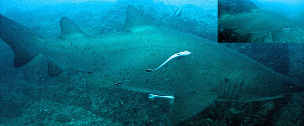 fa8c5a3f-408e-401d-bfdd-457662f64bdb