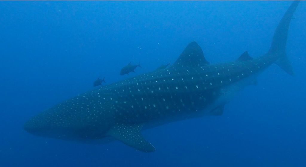 3b754614-d3b4-4659-9e5e-18f3134117b8