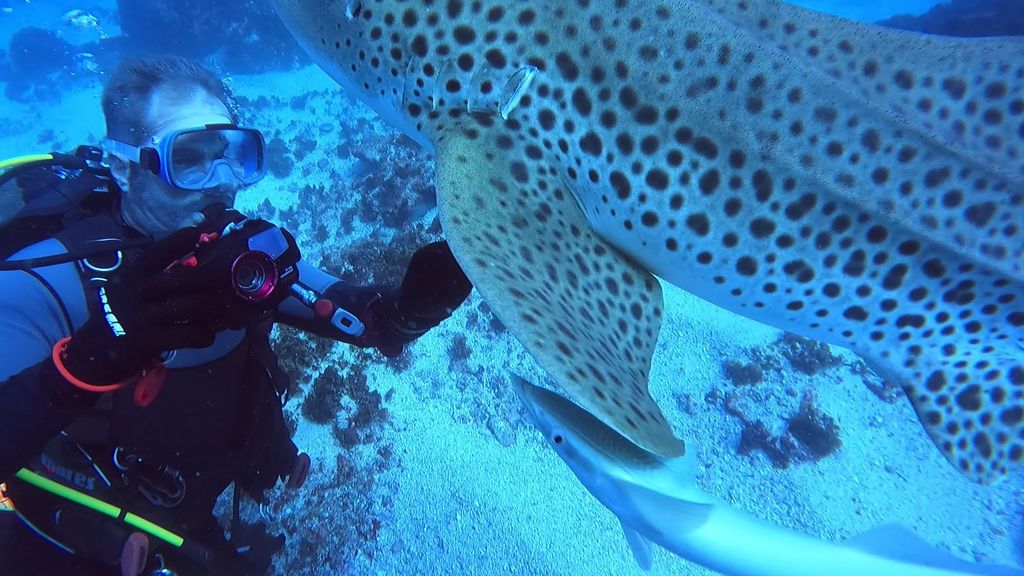 3a10c49e-ddc6-4ef6-b662-45e9771eec97