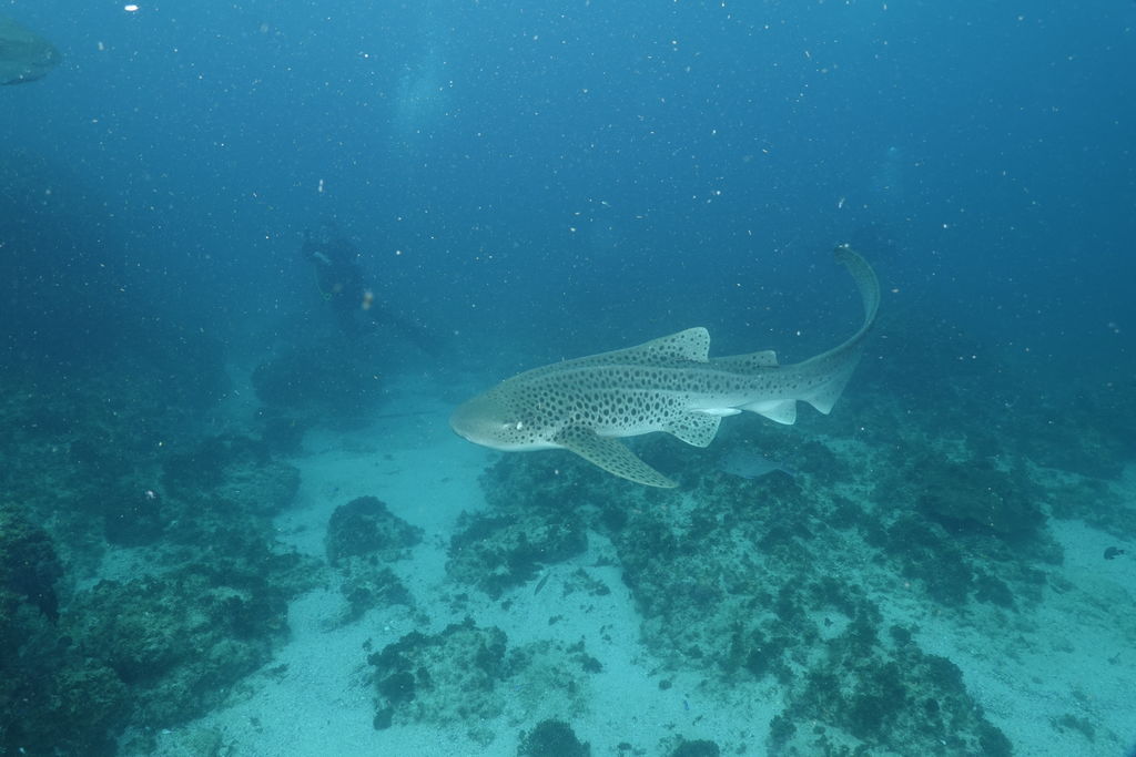 6da96ec4-1b5a-427a-a643-9028f7737e40