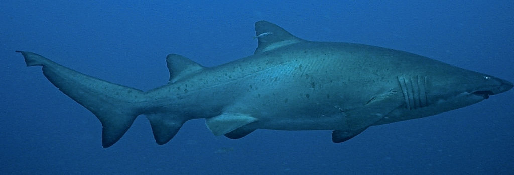 c5a67abc-1b24-41b9-b8dd-d05cfaf79346