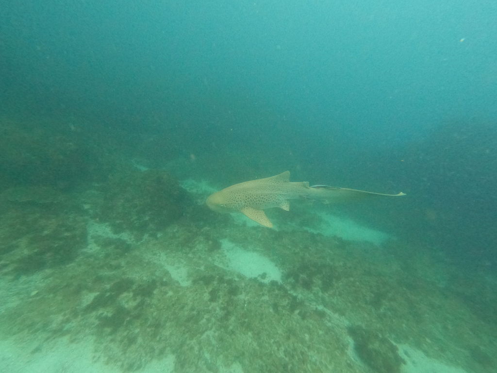 9f80584e-b1ed-4b3f-928f-06d71e41b4ca