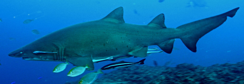 90dba4d5-e927-467e-97cf-8eaf6ab78cc7