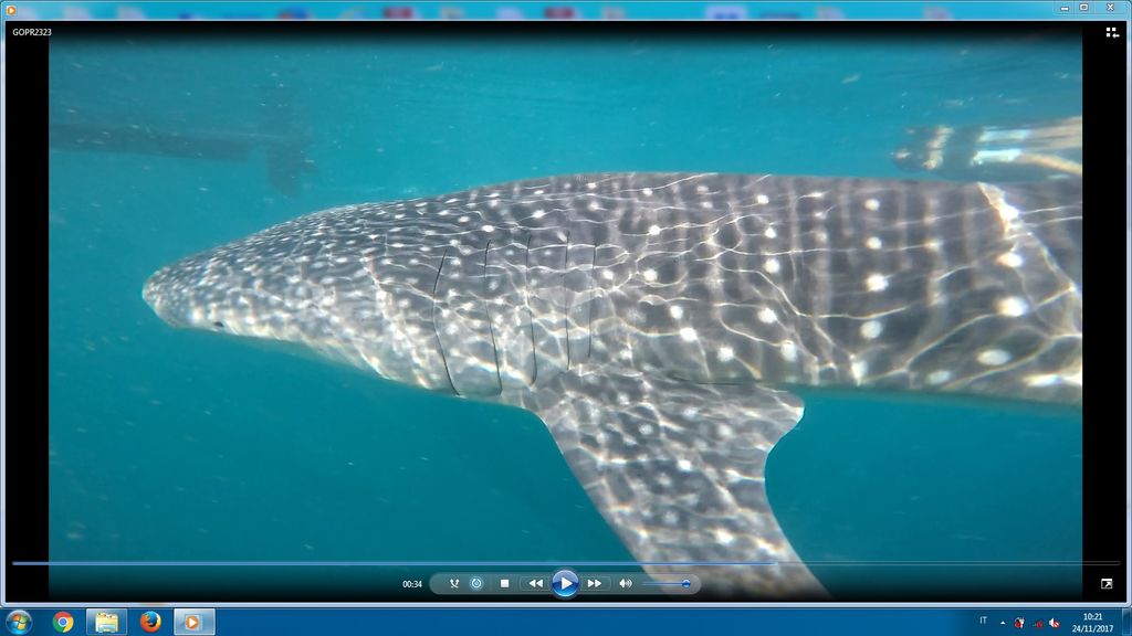 bfee08b3-550f-419e-9278-5dde9d11d110