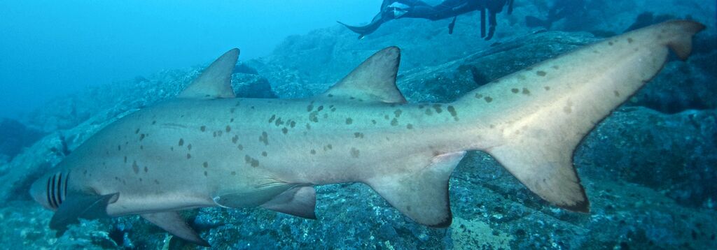 3aa09b96-3c29-417b-a924-ffed1d2b3d20