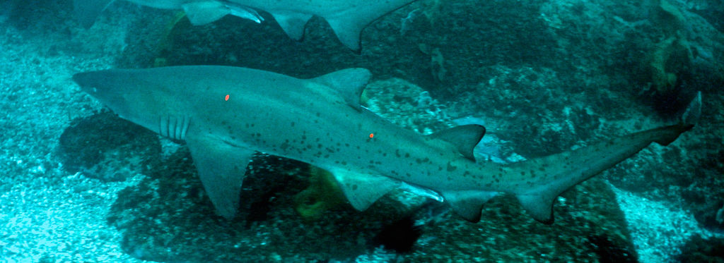 2ba4f2c8-9408-4ea8-8a73-bc993dd65eaa