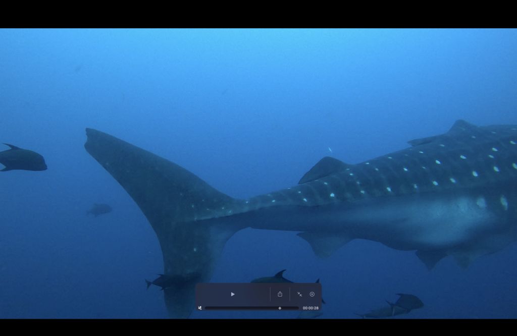 7561bb9d-9f86-48b3-a03b-ae8248587934