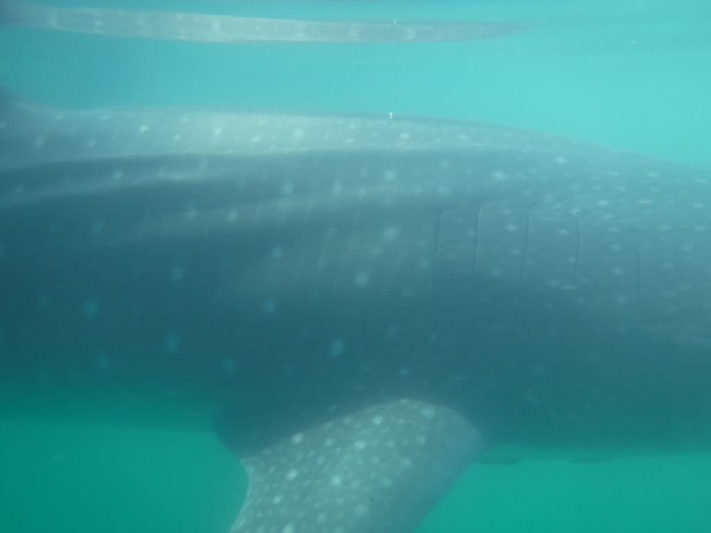 35db3291-0249-4c67-ac45-b8d8fef94223