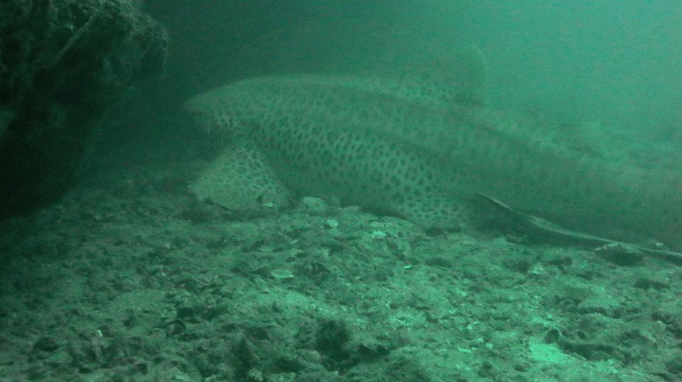 2c44fb94-682e-4a46-9a54-39f3d5279d8d