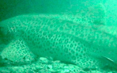 2c44fb94-682e-4a46-9a54-39f3d5279d8d