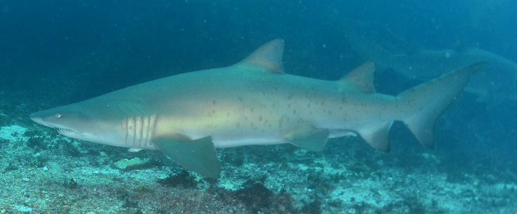 32928760-8a11-40b1-a2cb-04902fa9e9c6