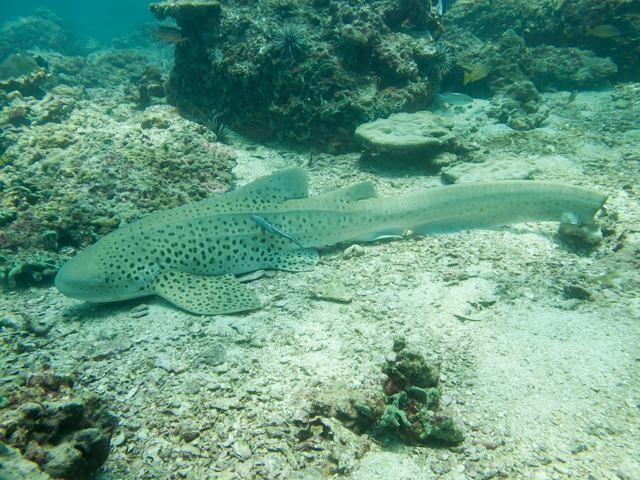 80c04d8d-1e75-46de-9291-530d95d6f46e