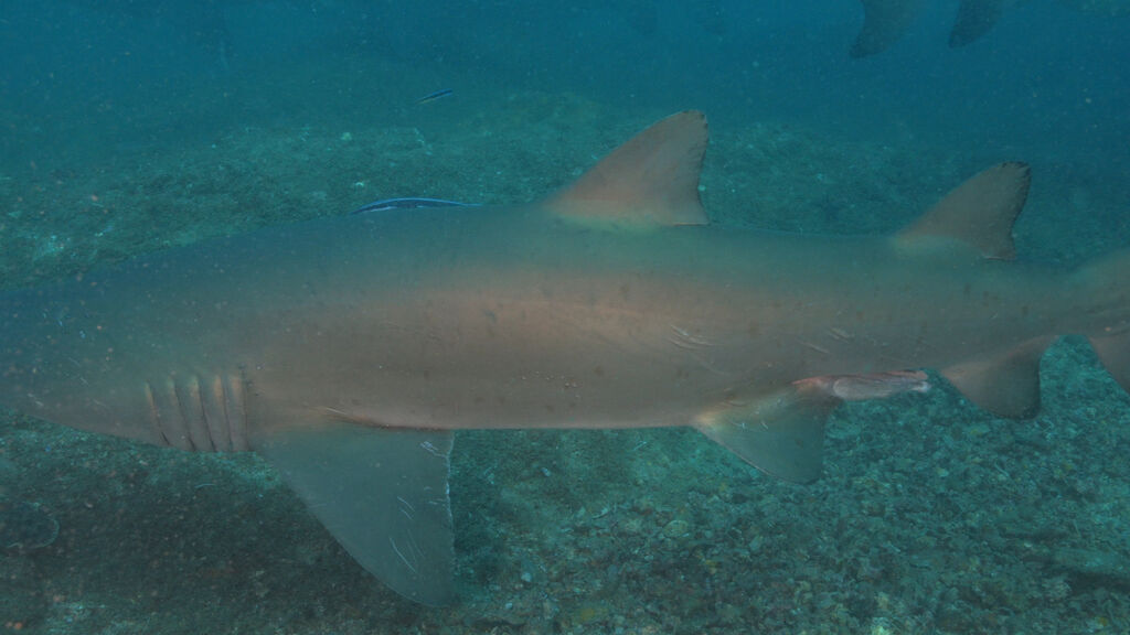 2c14094c-3ead-4f36-8fb1-7f7f5050855c