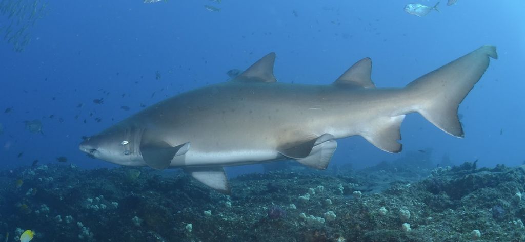 e5988c6f-86e6-405f-b951-07277ebc93f1