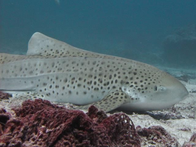 ade465ca-3745-4d27-9389-5f05f870e76b