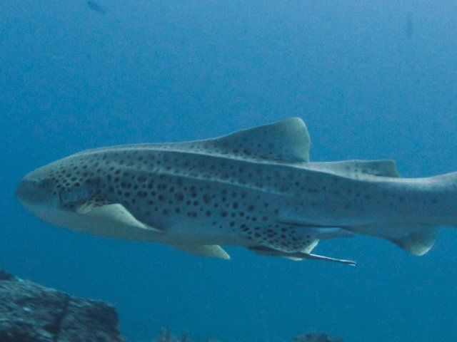 ade465ca-3745-4d27-9389-5f05f870e76b