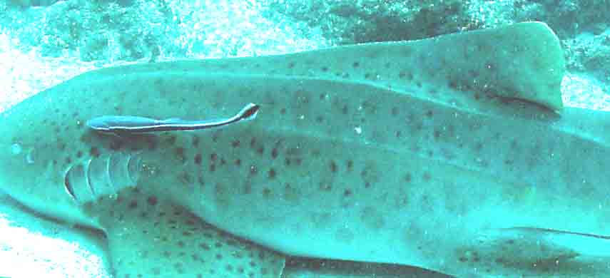 c81b33ea-6624-40f1-8f3f-bdb297cdc88c