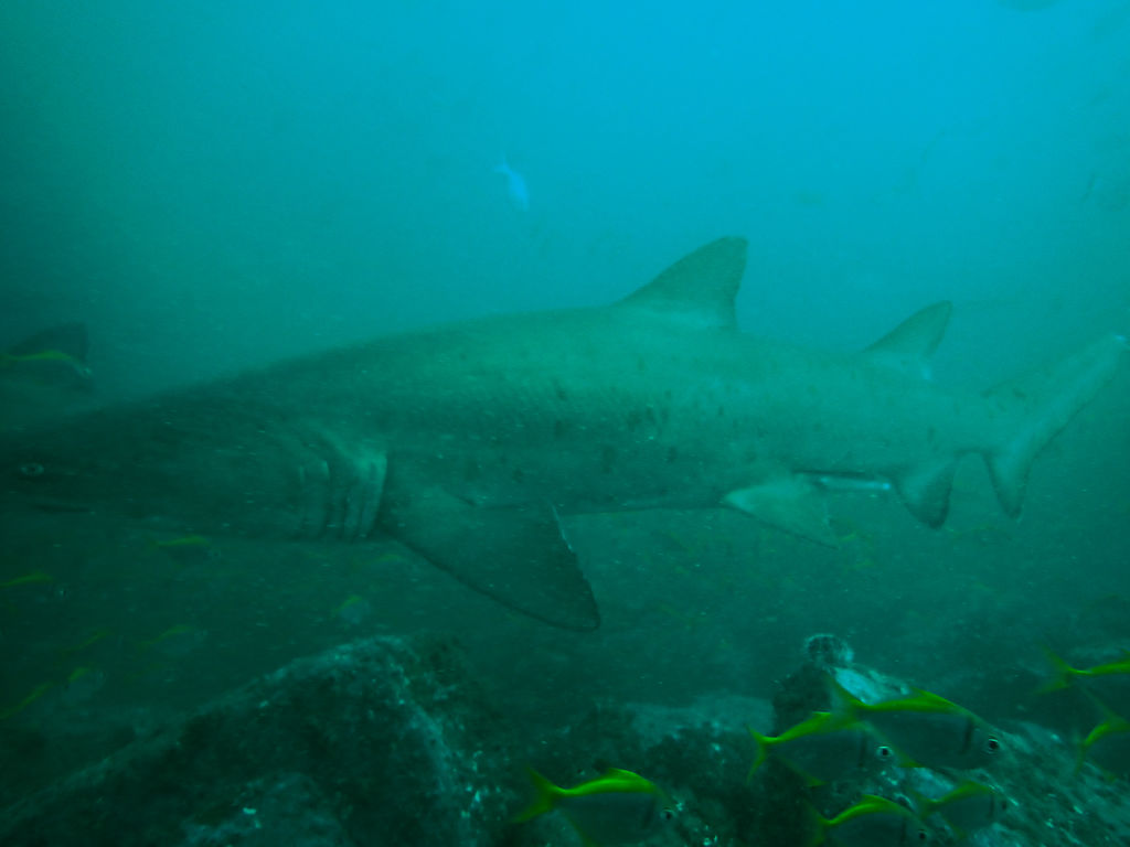 12aa8a7a-1871-41eb-929e-b3a3ed1a9468