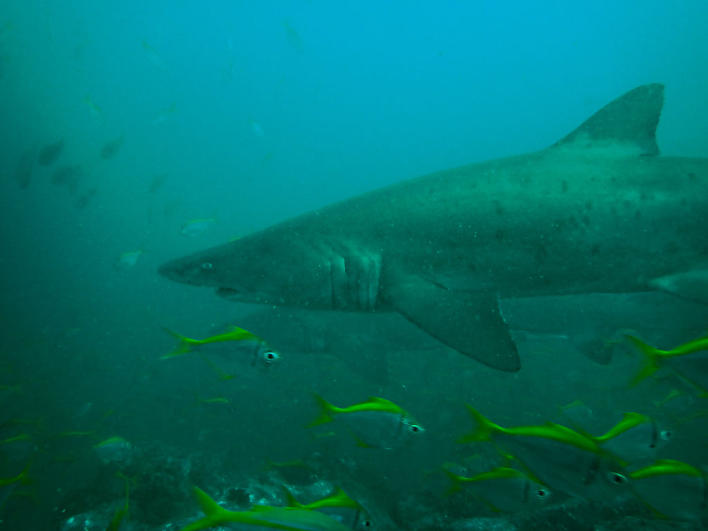 12aa8a7a-1871-41eb-929e-b3a3ed1a9468