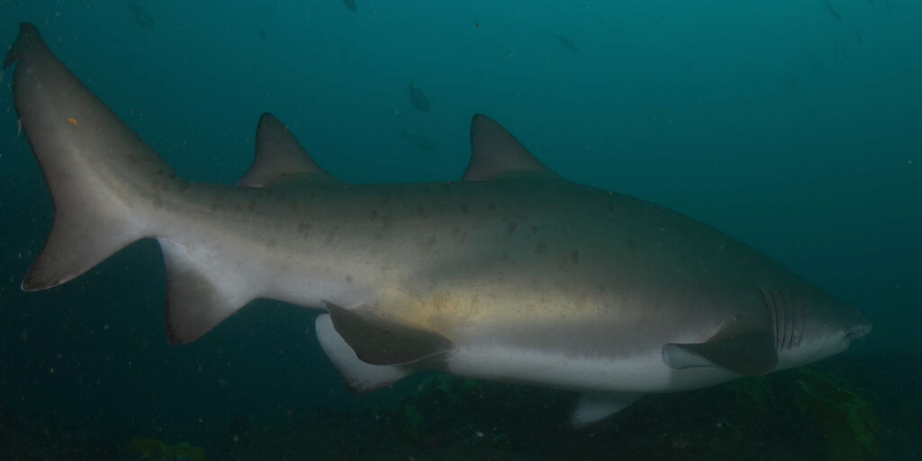 e835ea06-fb1c-4797-998f-10ad31f28679