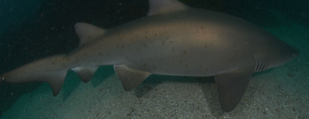 e835ea06-fb1c-4797-998f-10ad31f28679