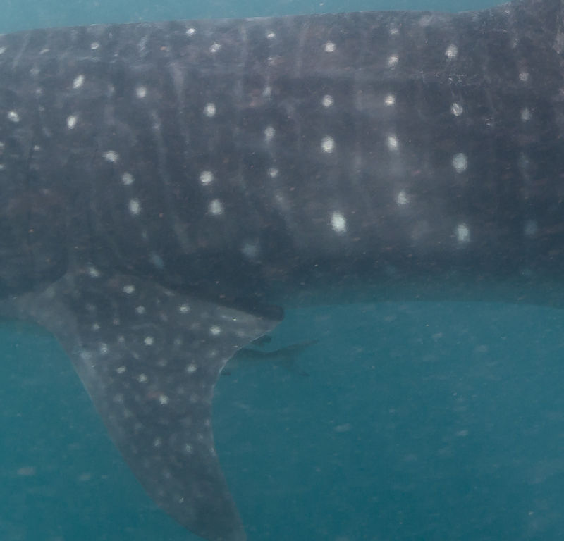 e8013820-82bc-42bc-b3da-bcf027700778