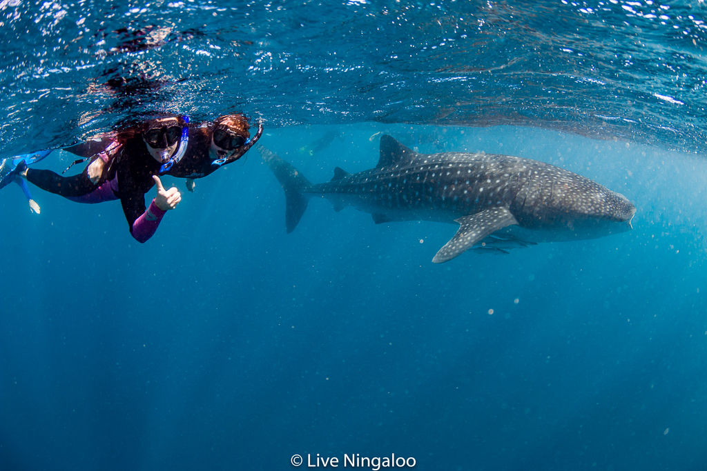 7e2df7e5-3368-404a-b8ac-698b5fc892ac