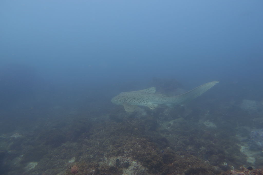 cba39f5d-d8bc-4351-b7f1-872b55a3b463