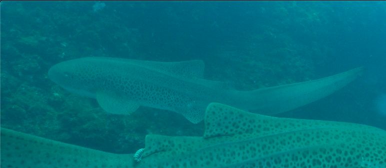 bba6e27d-cef6-490e-b3cd-b6679ecd8fe9