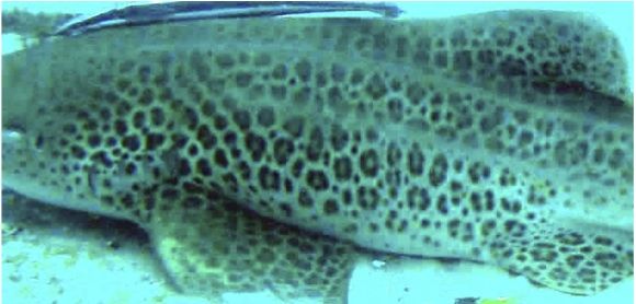 df1798a3-a115-4cdc-8448-65e78fa5eb80