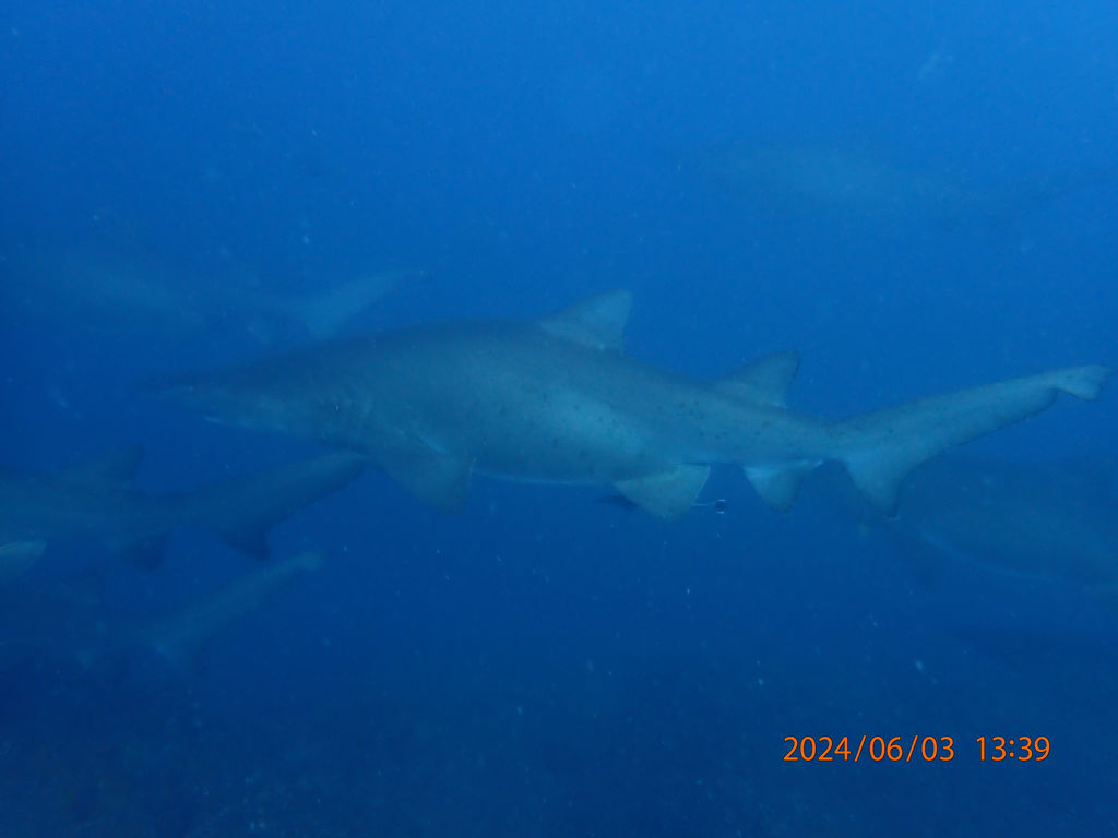 34acc899-6eeb-4f61-85e5-ad64a59fd5ca