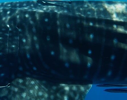 73b01ea5-3b97-4a66-a8c5-aa6cddb929c1