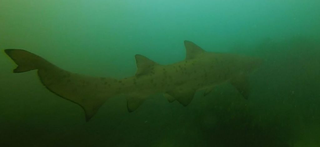 10061f27-8518-4c51-beb2-058a6abc8451