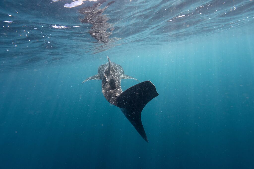 2b1c94fc-40a1-4e50-a812-09bcd51ac9fc