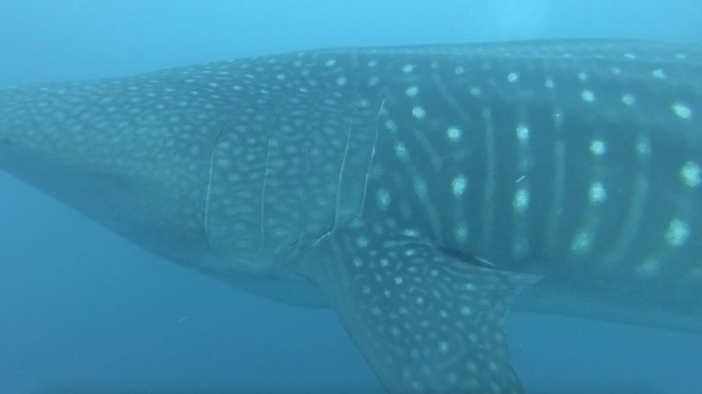 6f77e402-78aa-4ebf-afba-8afe076d40fa