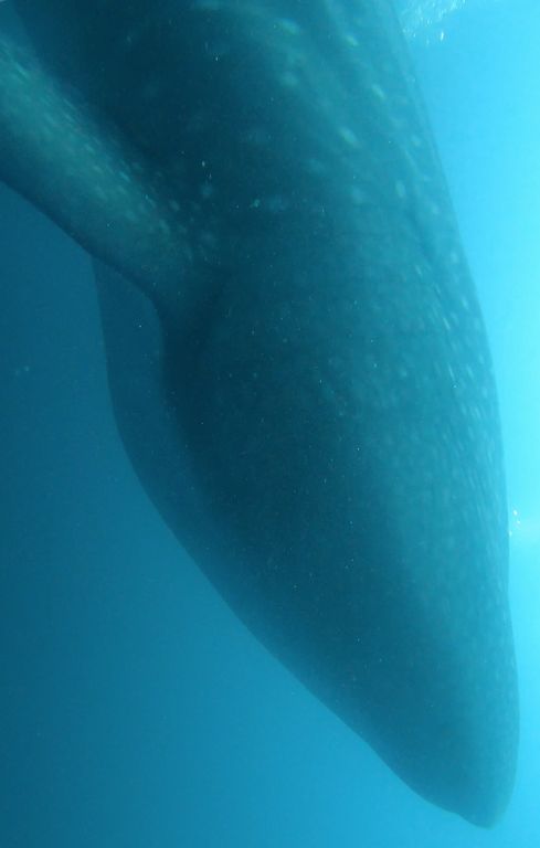 6f77e402-78aa-4ebf-afba-8afe076d40fa