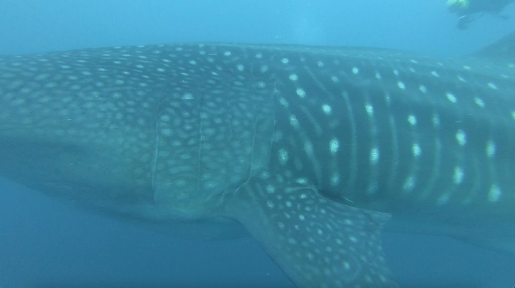 6f77e402-78aa-4ebf-afba-8afe076d40fa