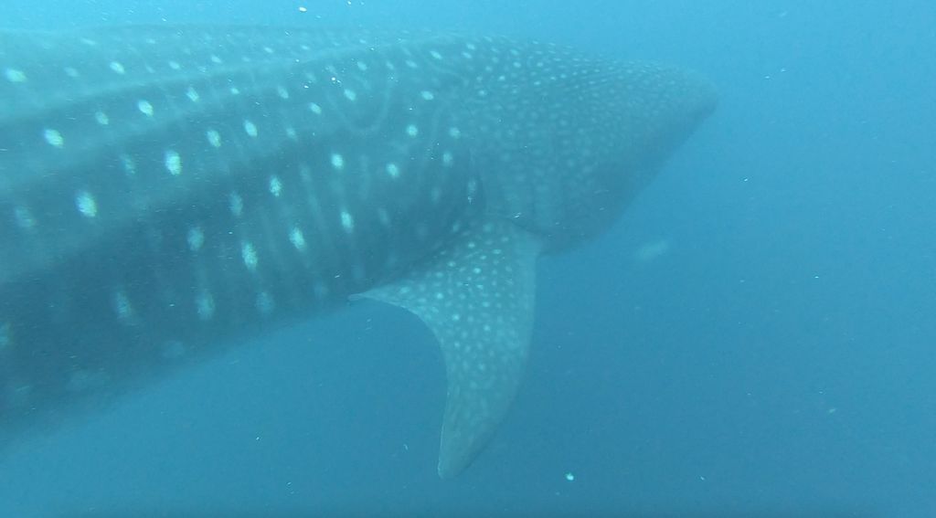 6f77e402-78aa-4ebf-afba-8afe076d40fa