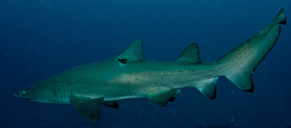 2c140f96-885e-4a7b-95e7-32b50d6b9e76