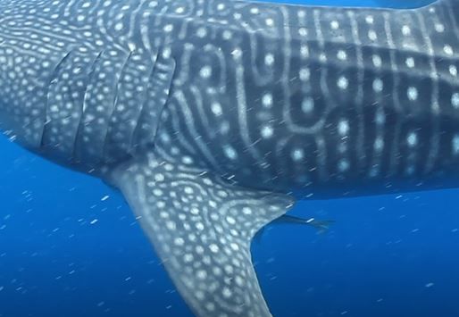 72bae134-7082-4848-80d3-28e3eb2c8880