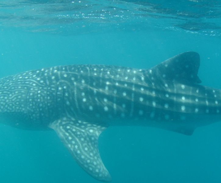 5511f09f-a6bb-4bcc-8acc-fe305288c899